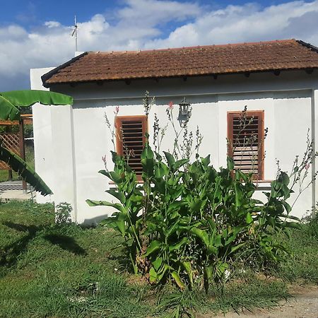 Azienda Agricola Neocastrum Lamezia Terme Bagian luar foto