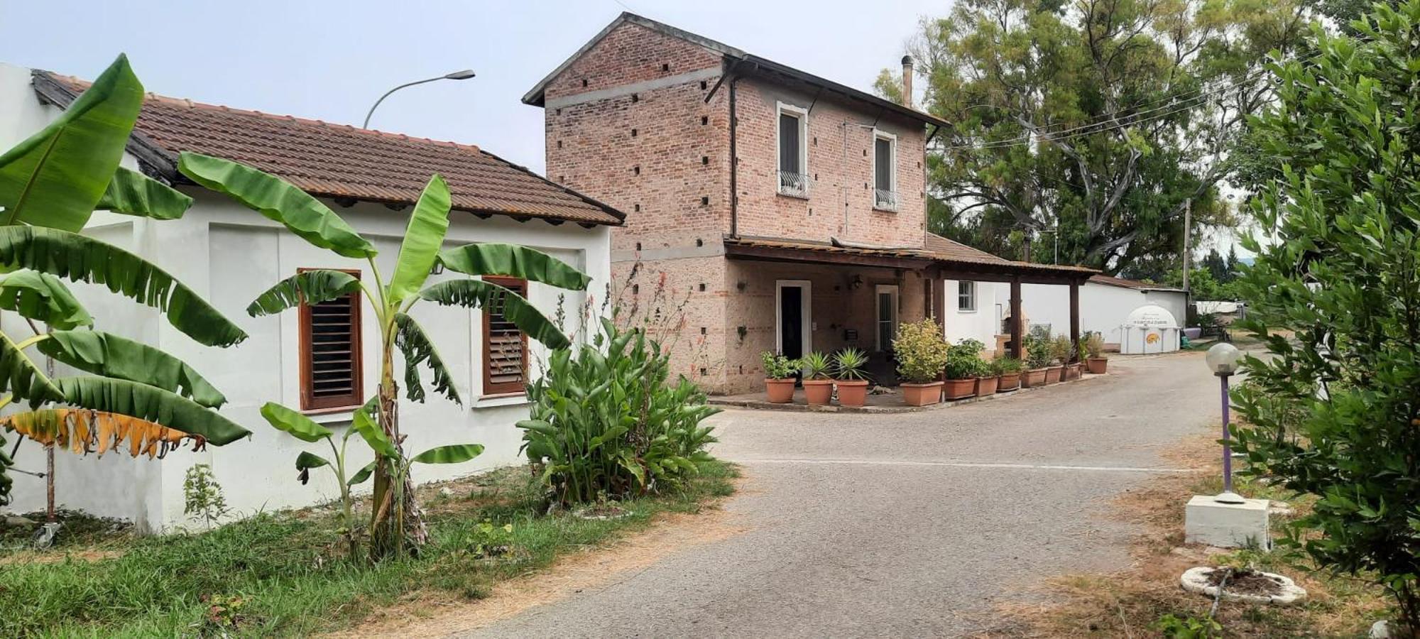 Azienda Agricola Neocastrum Lamezia Terme Bagian luar foto